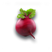 Beetroot