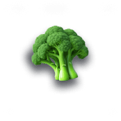 Broccoli