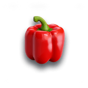 Capsicum