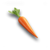 Carrot