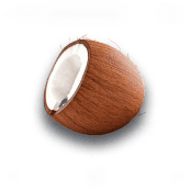 Coconut