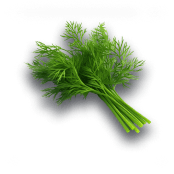 Dill leaves