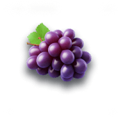 Grapes