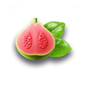 Guava