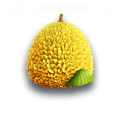 Jackfruit