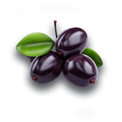 Jamun