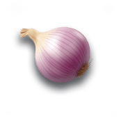 Onion