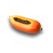 Papaya