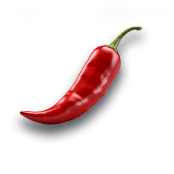 Kashmiri red chilli