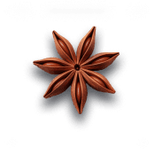 Star Anise