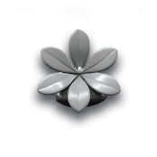 Stone flower