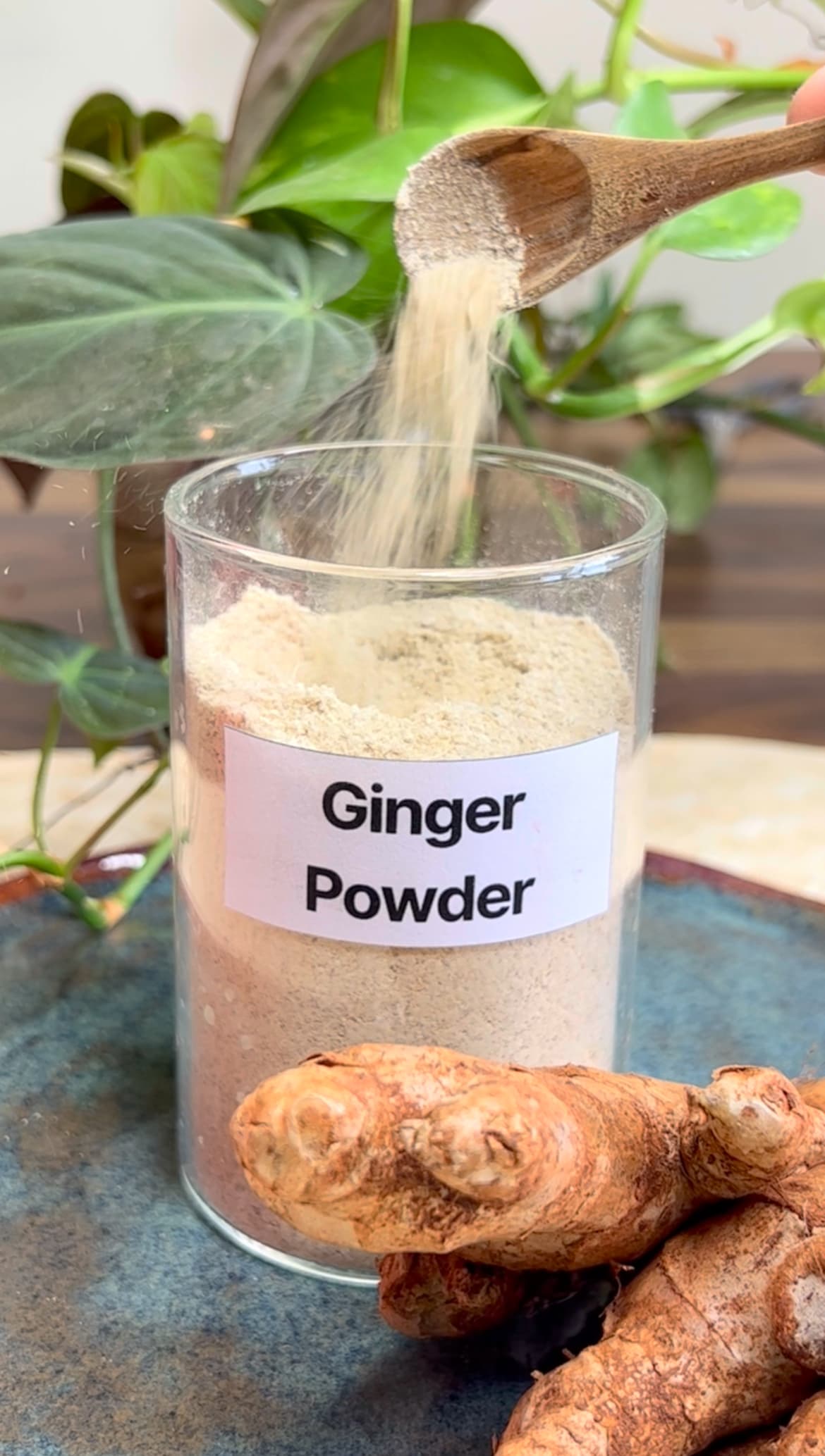 Ginger Powder