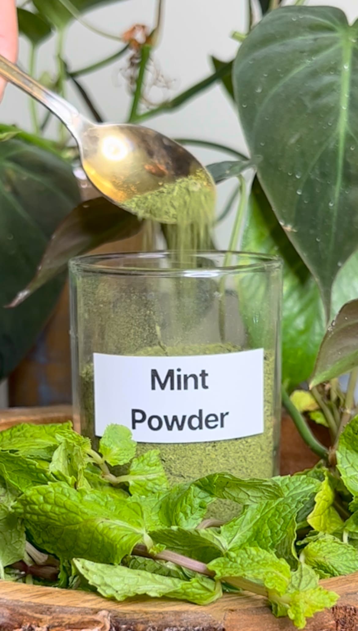 Mint Powder