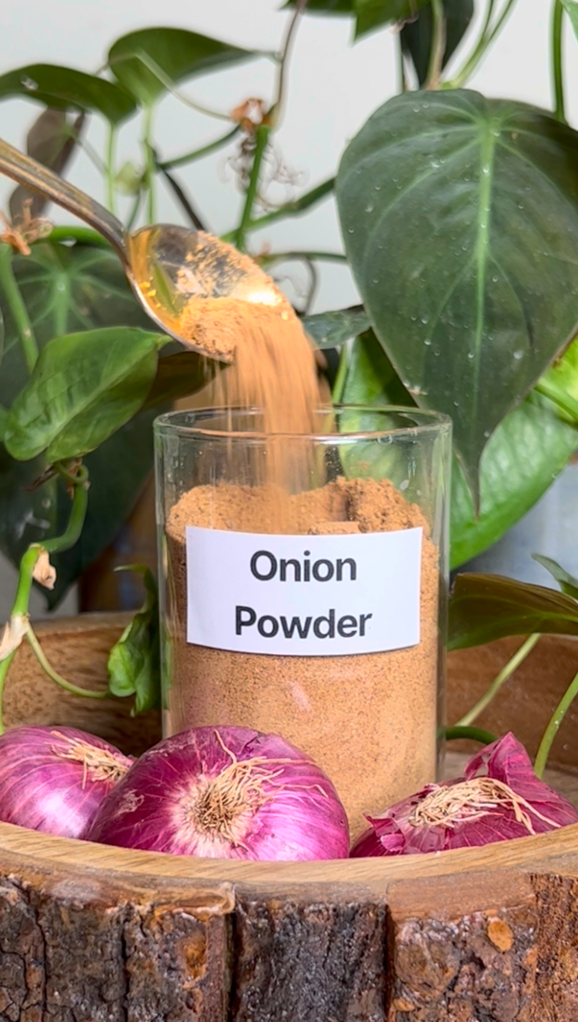 Onion Powder