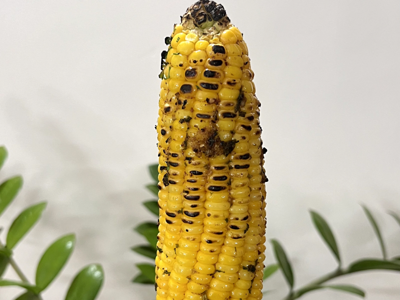 Tandoori corn cob